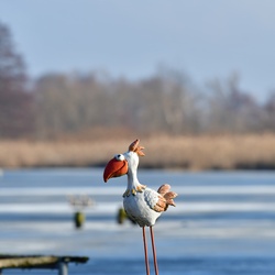 2026-01-08 Brandenburg an der Havel/Stadt/DSC_2259.JPG